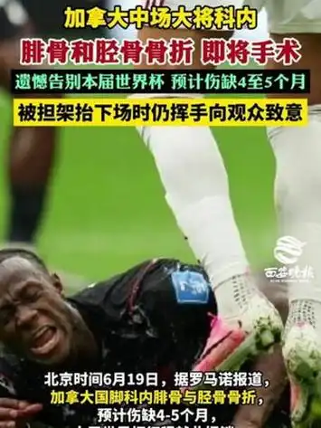 加拿大核心科内手术成功确认缺席世界杯，北美劲旅前景蒙阴影